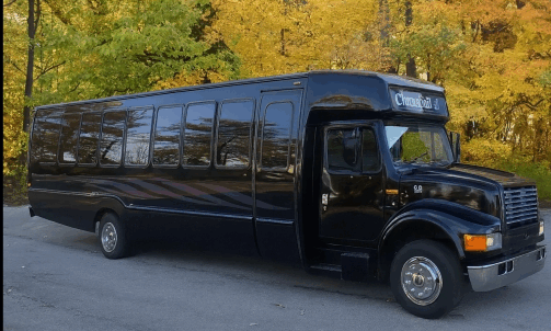 Milwaukee Party Bus Service, airport Transport, General Mitchell airport Transport, bachelorette party bus, bachelor party bus